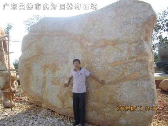 參考景觀石