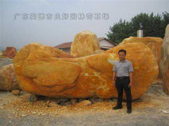 參考景觀石