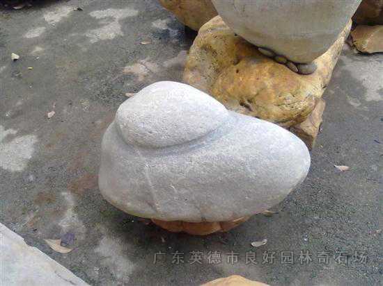 觀賞石