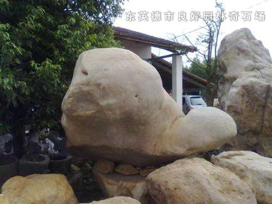 觀賞石