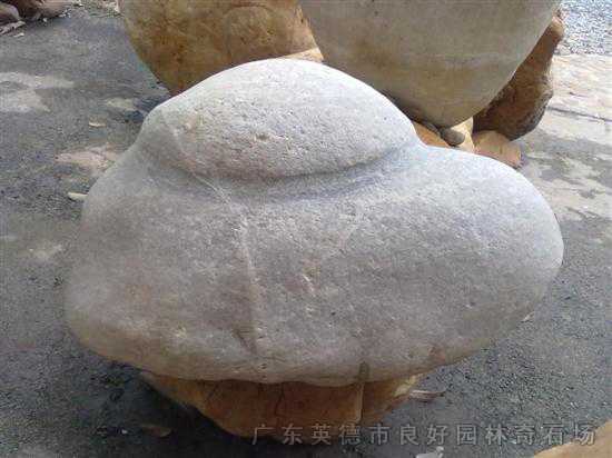觀賞石