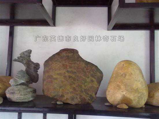 觀賞石