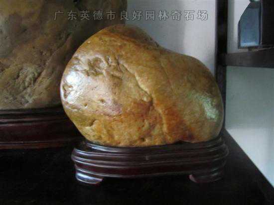 觀賞石