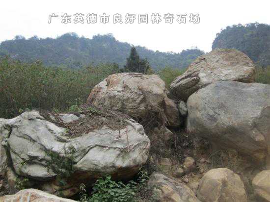 開采現(xiàn)場(chǎng)