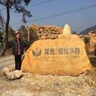 園林石工程案例--佛山禪城區龍光房地產有限公司