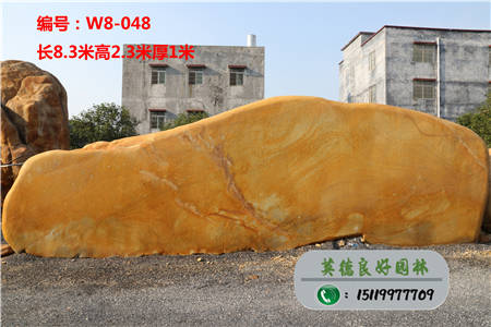 廣東黃臘石_黃臘石超低價W8-048