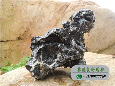 廣東景觀石_精品青龍石