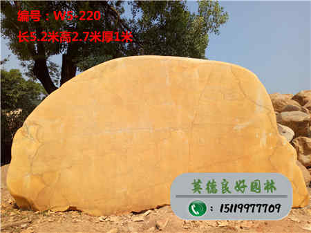 園林石_廣東園林石_園林石造景W5-220