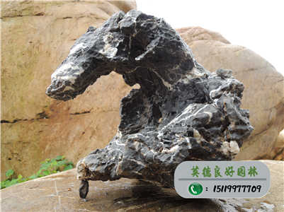 廣東園林石--青龍石廠家