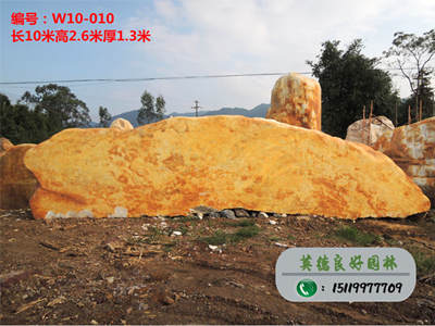 黃蠟石--福建黃蠟石批發W10-010