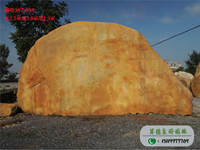 黃蠟石--河南黃蠟石批發(fā)W7-030