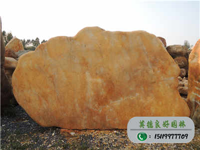 黃蠟石采購--黃蠟石基地直銷、黃蠟石廠家批發w3-177(已售)