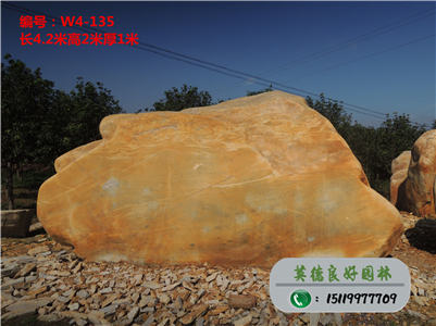 良好園林黃蠟石、天然景觀石價(jià)格W4-135