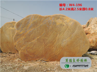 良好園林黃臘石、景觀設(shè)計(jì)黃臘石W4-196(已售)