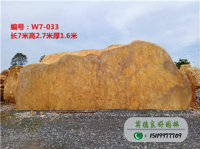 房地產專用黃蠟石、景觀石基地直銷W7-033