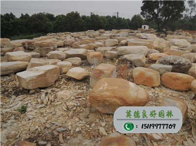 園林黃蠟石--臺(tái)面黃蠟石價(jià)格