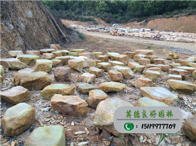 黃蠟石--園林臺(tái)面石、草地臺(tái)面石