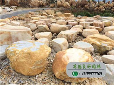 廣東黃蠟石--臺面石廠家直銷