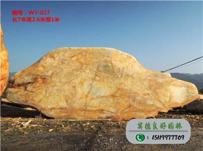 黃蠟石基地--大量批發精品黃蠟石、天然黃蠟石價格W7-027