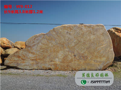 廣東景觀石--天然黃蠟石批發、廣東園林石廠家W9-012