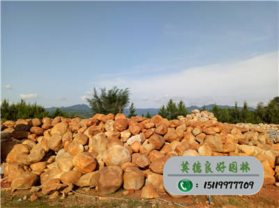 黃蠟石基地--園林黃蠟石、綠化黃臘石