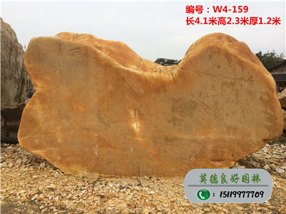 大型黃蠟石--風(fēng)水景觀石采購、綠化園林石奇石w4-159(已售)