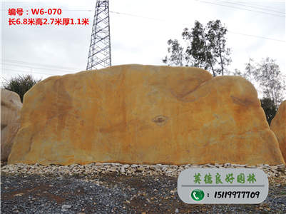廣東景觀石--黃蠟石廠家采購W6-070