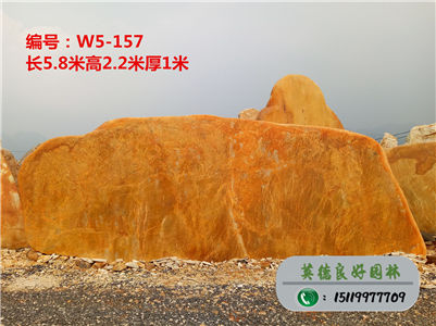 廣東園林石--大型園林石批發、天然黃蠟石直銷W5-157（已售）