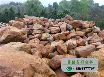 工程黃蠟石--假山公園石、草地石