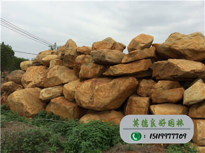園林景觀石--超低價黃蠟石、景觀石廠家直銷