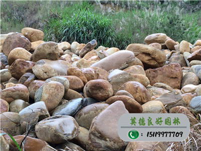 水池景觀石--便宜黃蠟石、超低價黃蠟石批發