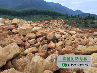 廣東黃蠟石--駁岸石價格、溪流石批發