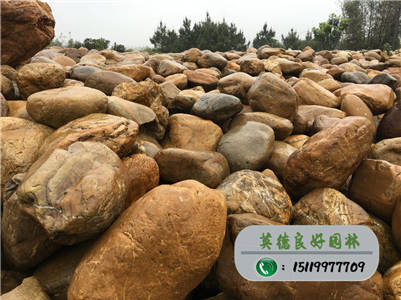 景觀石--工程黃蠟石批發、全國批發黃蠟石