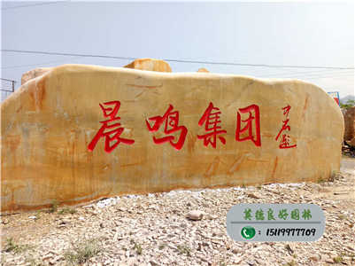 廣東黃臘石批發基地--晨鳴集團招牌黃臘石