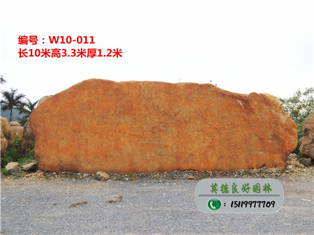 浙江黃蠟石--大型黃蠟石批發W10-011