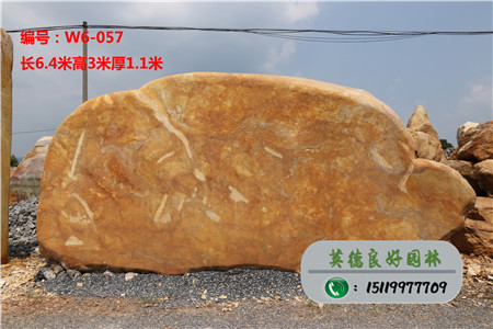 廣東黃蠟石--招牌黃蠟石價格W6-057