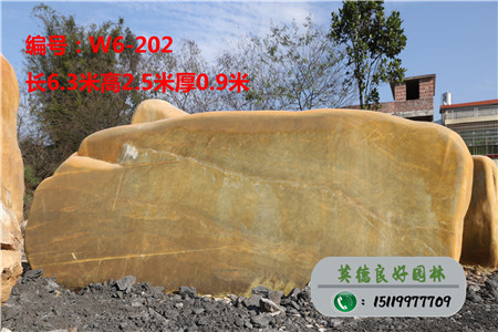 大型黃蠟石價(jià)格W6-202