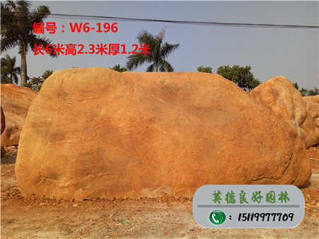 園林石--廣西黃蠟石采購黃臘石W6-196