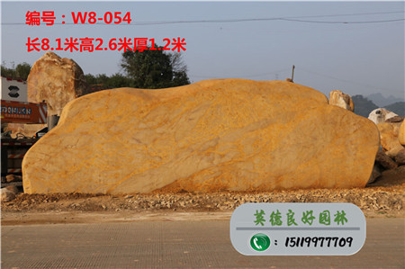 大型黃蠟石校訓石W8-054
