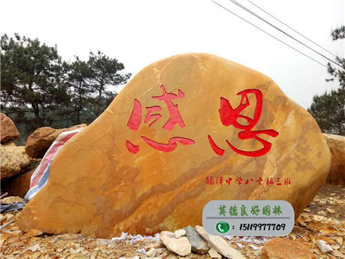 感恩母校，重慶龍潭中學八七級三班的校友贈石