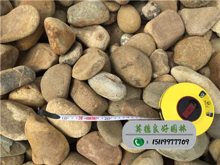 廣東溪流鵝卵石批發
