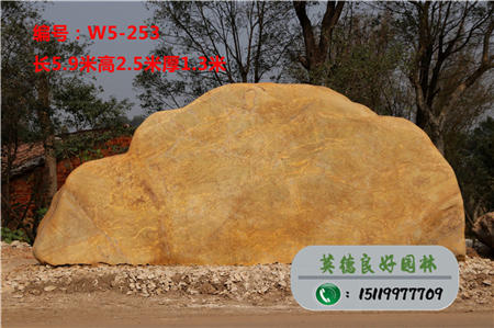 廣東景觀石價格W5-253
