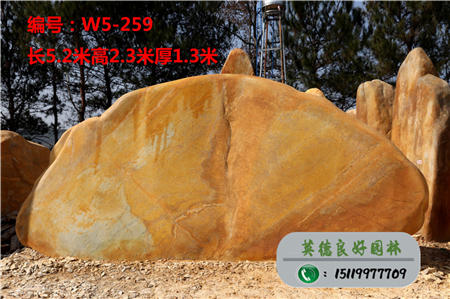 廣東黃蠟石價格W5-259