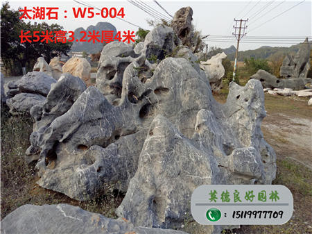 廣東太湖石廠家供應TW5-004