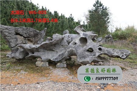 大型景觀石批發(fā)太湖石TW6-005