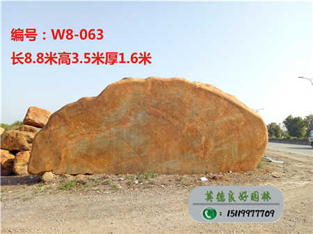 安徽大型景觀石廠家W8-063