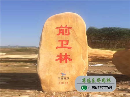 招牌黃蠟石--中視前衛影視傳媒有限公司--前衛林