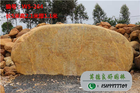 湖北大型景觀石招牌W5-264