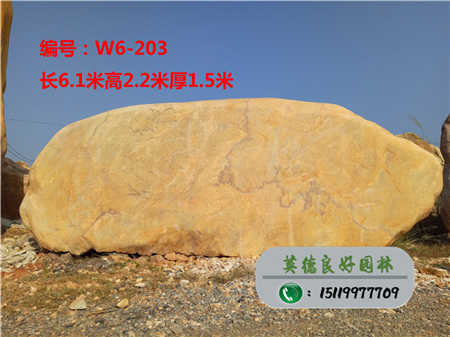河北大型景觀石直銷W6-203