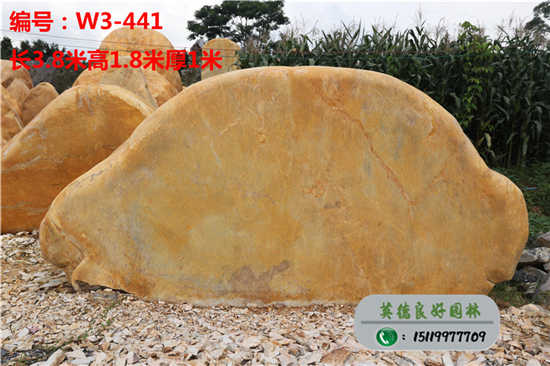 廣西黃蠟石招牌石W3-441